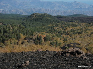 nte Zappinazzo-04-11-2012 11-01-01